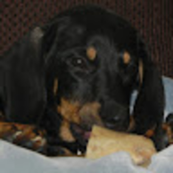 Meet your Posher, Alanna - Picture 1 of 1